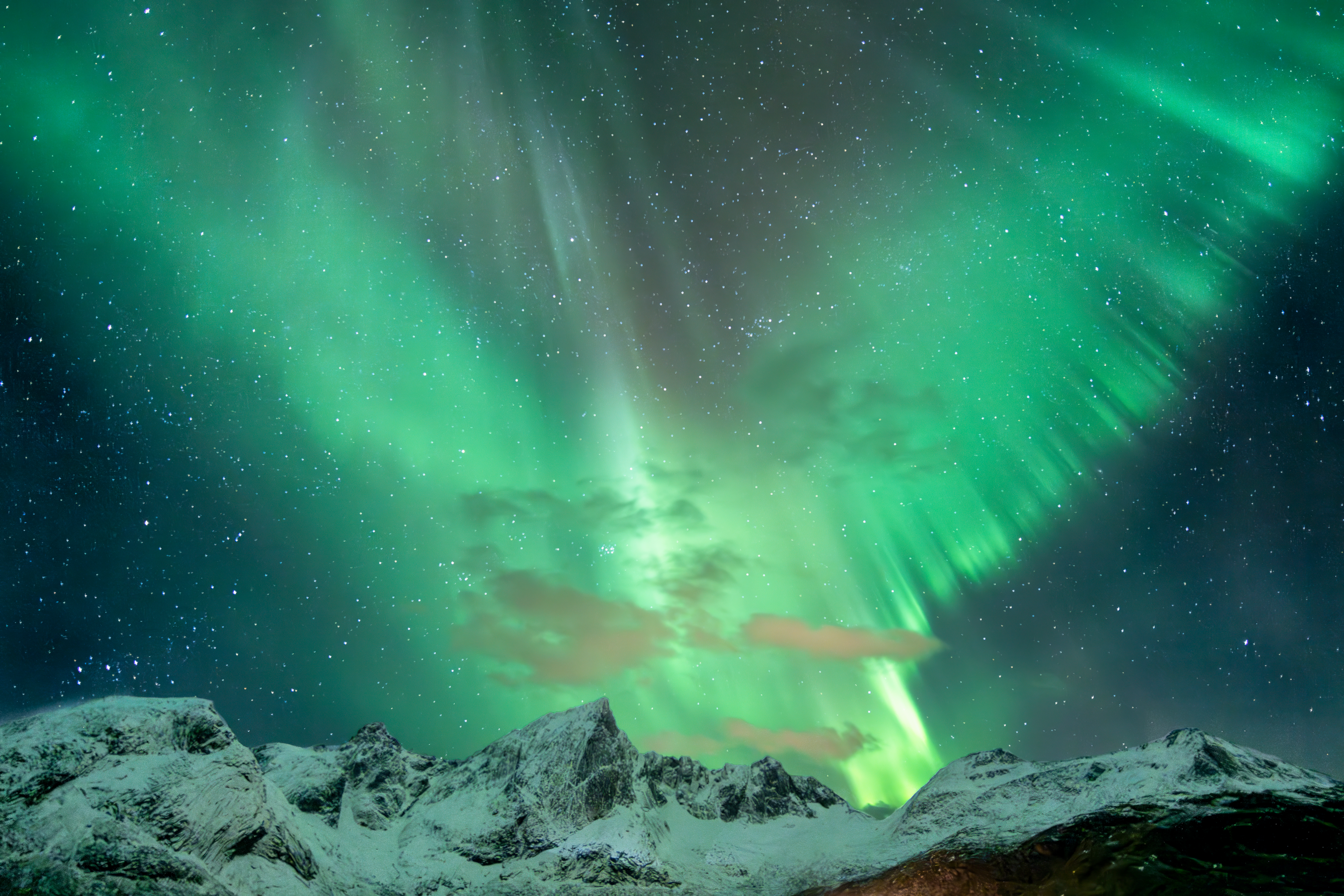Green Bay Phoenix women get 13 seed, will play at 4th seed Minnesota - WLUK