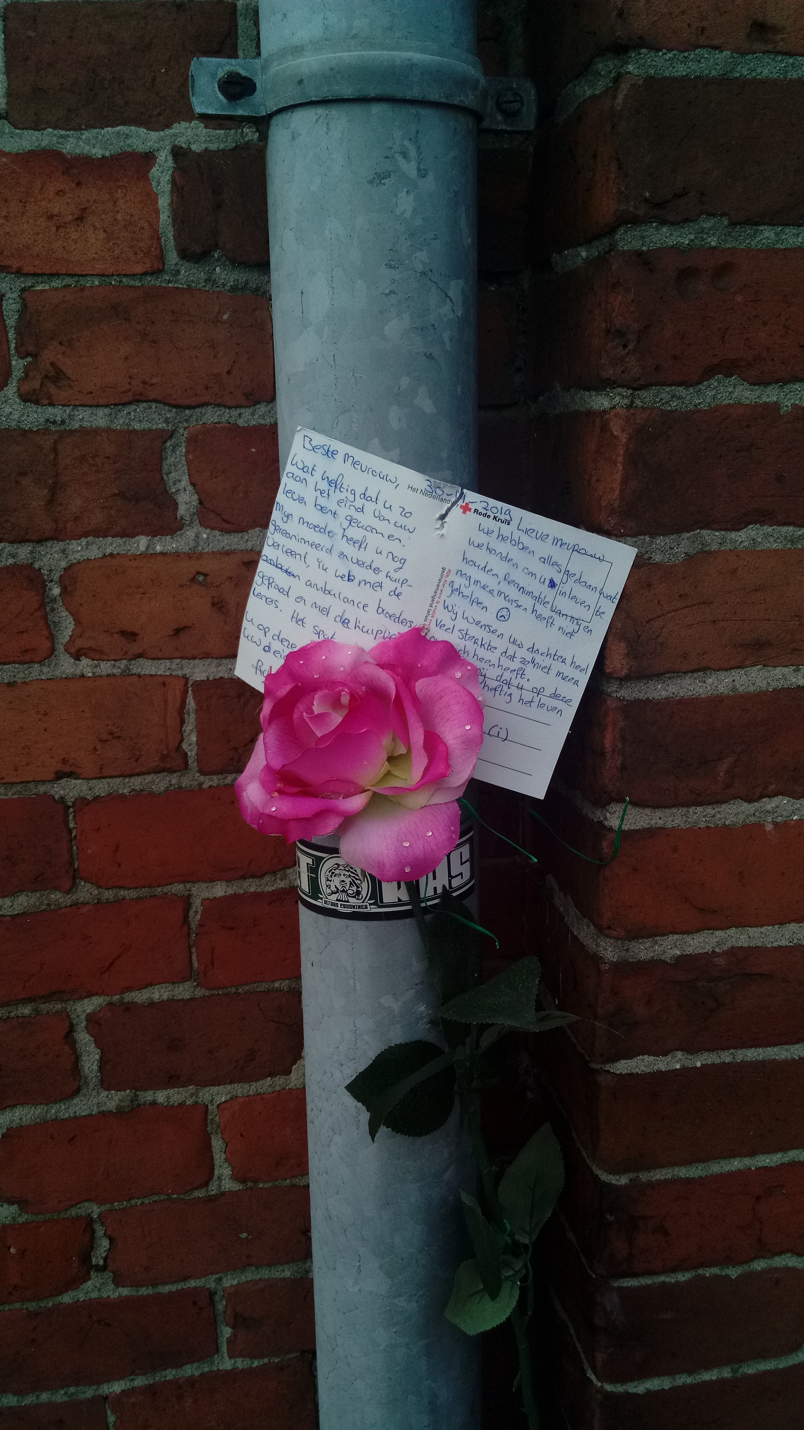 Woman dies after crash on SR-51 in Phoenix - 12News