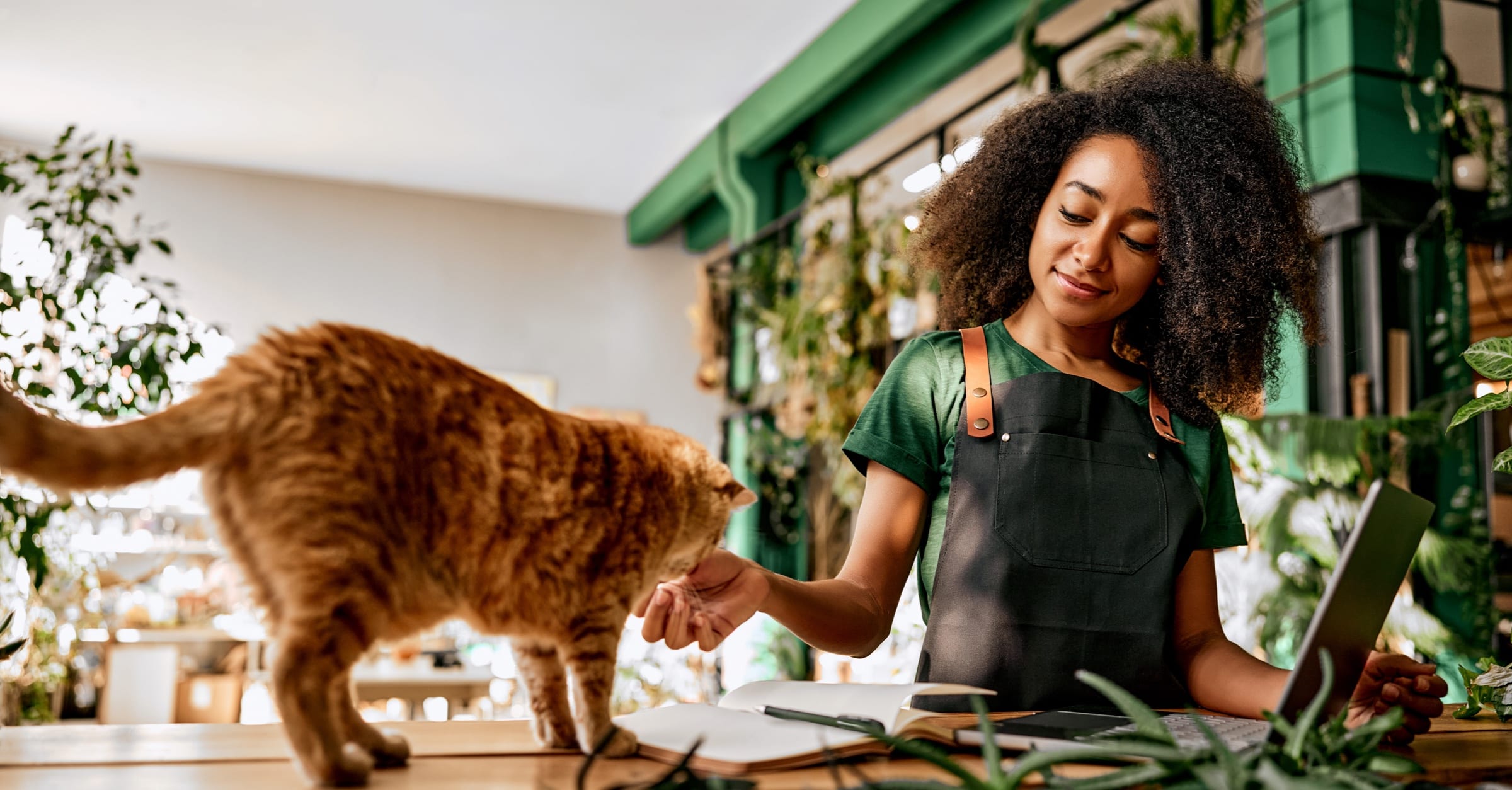 How to start a pet business (best online tips and tools)