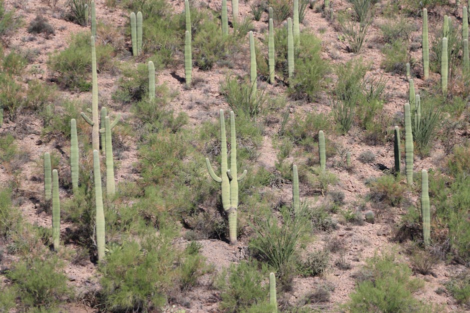 ‘You’re gonna have to kill me': Man points gun at Phoenix officers before fatal OIS - Police1