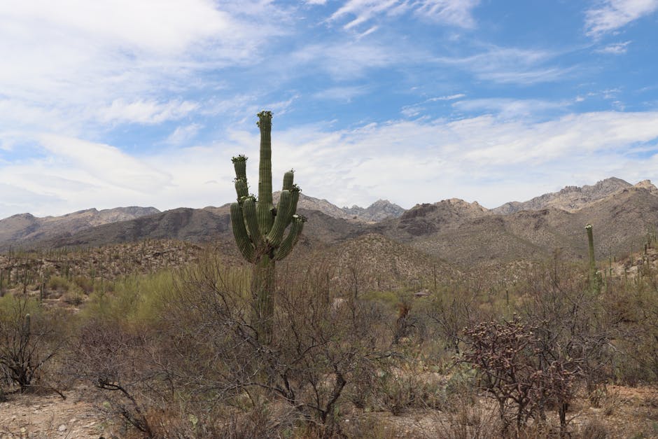 PHOENIX MERCURY TEAM UP WITH HERO BREAD AS 2026 JERSEY BADGE PARTNER - Phoenix Mercury