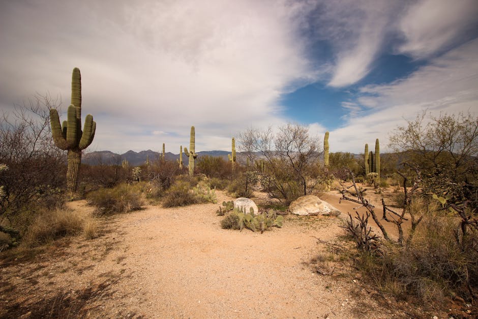 Barkley blimp cruises over Phoenix again - Axios