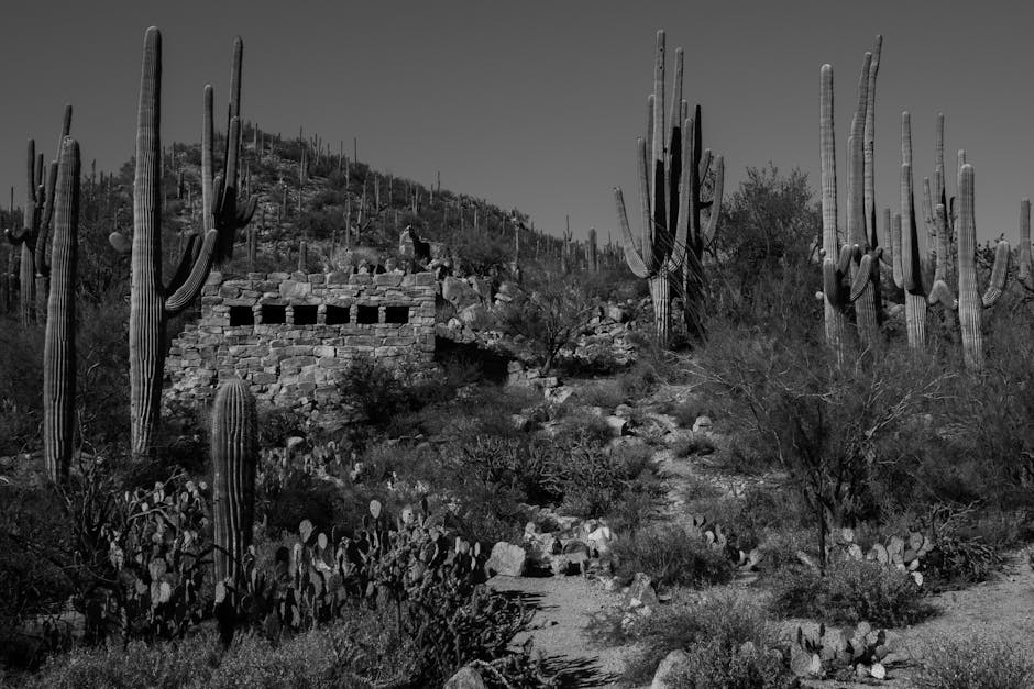 SKIMS by Kim Kardashian to open new store at Scottsdale Fashion Square - ABC15 Arizona