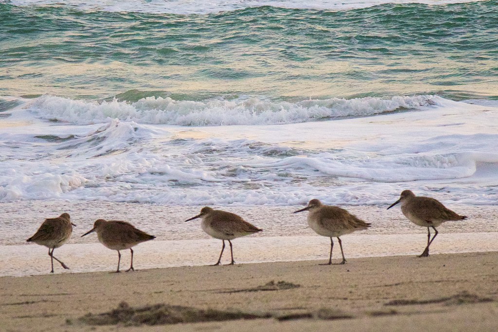 How algorithm changes are reshaping digital marketing strategies - Santa Fe New Mexican