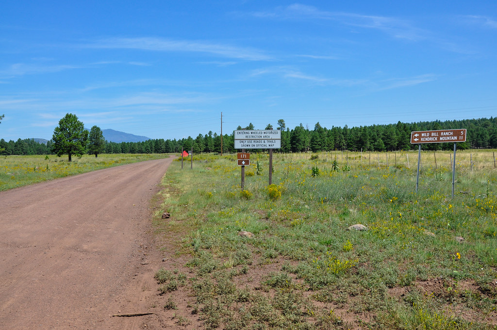 AI Turns Websites Into Adaptive Sales Engines - PYMNTS.com