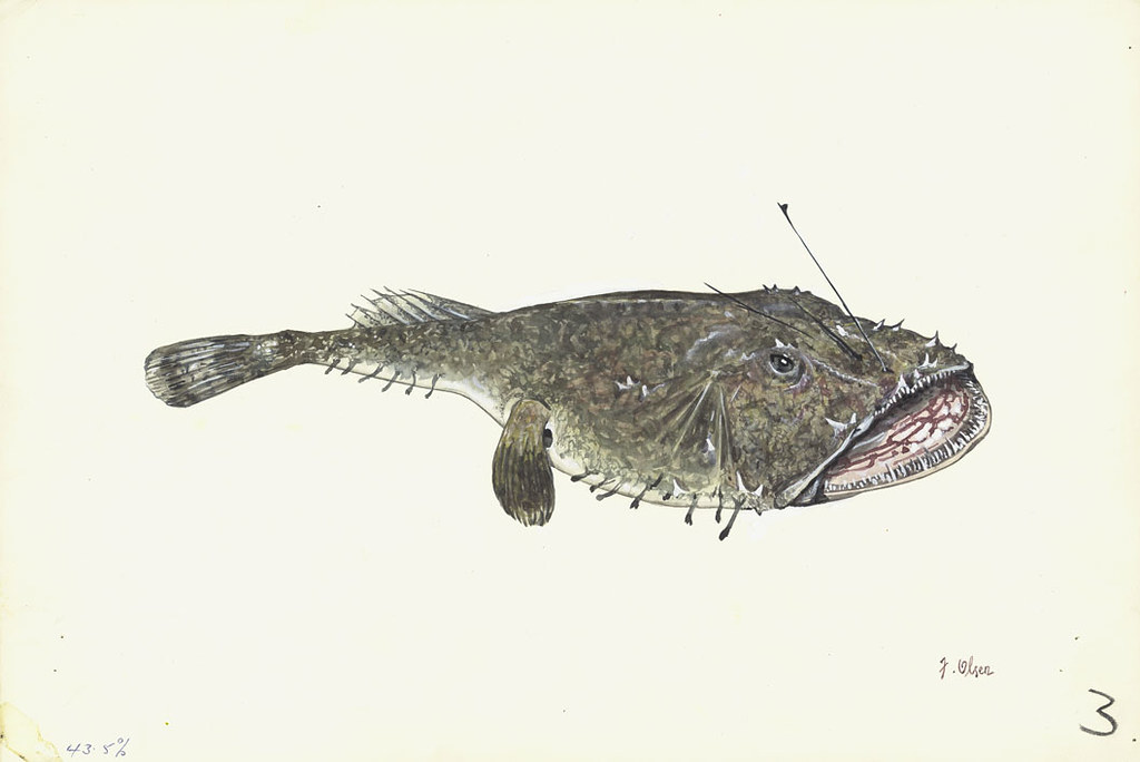 South Korea Digital Marketing Market Size & Growth Forecast 2026-2035 - openPR.com