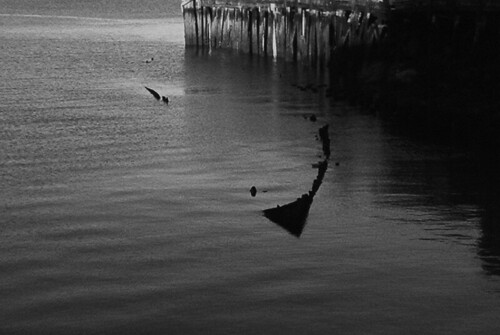 ACP Launches to Acquire Small Digital Marketing Agencies - MarTech Cube