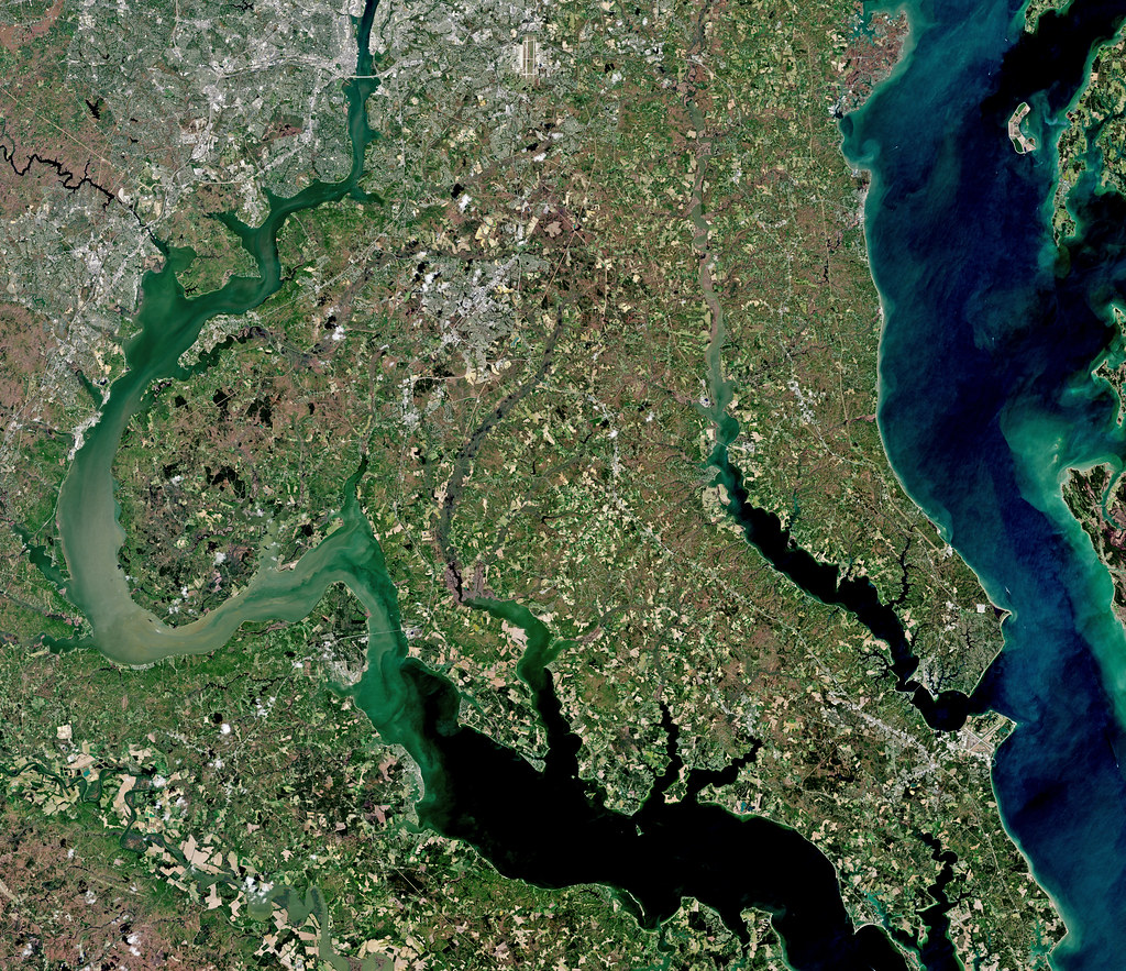 How algorithm changes are reshaping digital marketing strategies - Duncan Banner