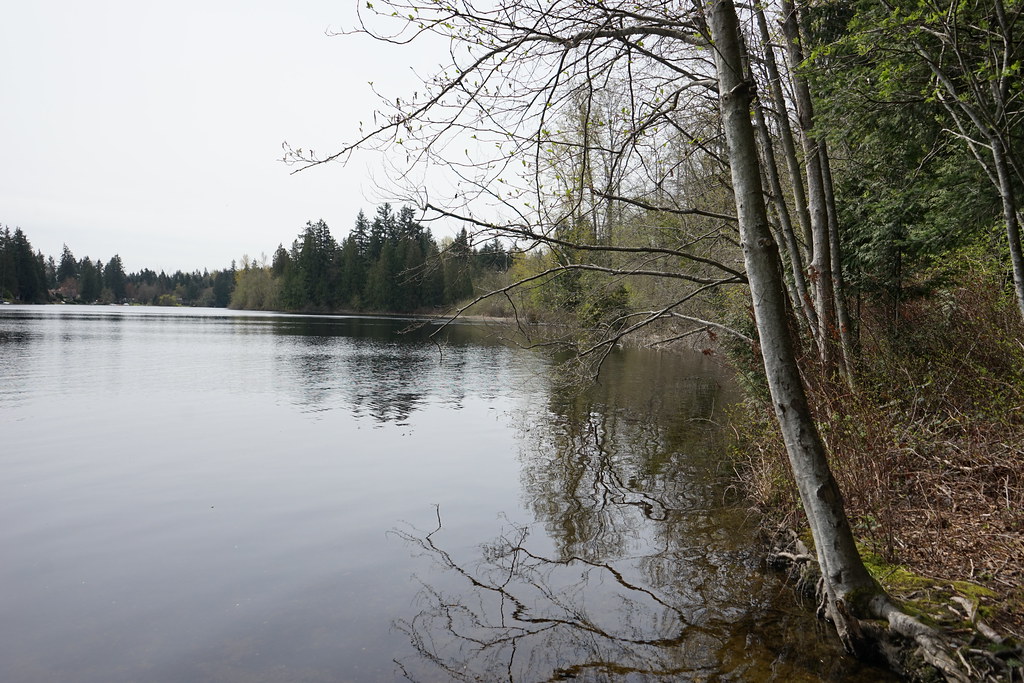 Bonsai Emphasizes Incrementality as Key Metric in Digital Marketing Measurement - TipRanks