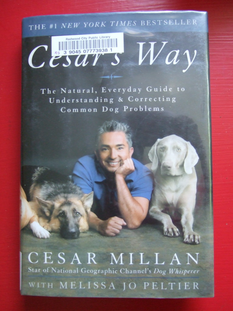 3 Leadership Moves That Turn AI Into a Marketing Advantage - CMSWire