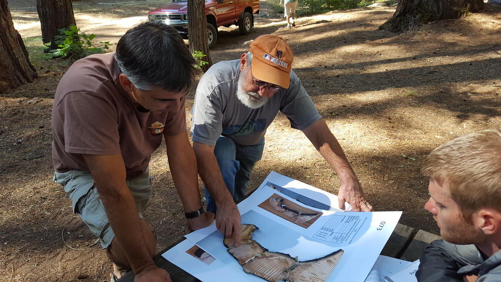 Top 3 Best Free AI SEO Tool for Brand Awareness in Digital Marketing Industry - Programming Insider