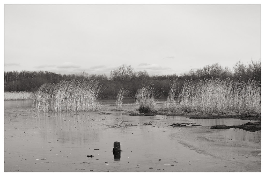 Gulf Bank showcases its experience in digital marketing and the use of artificial intelligence - ZAWYA