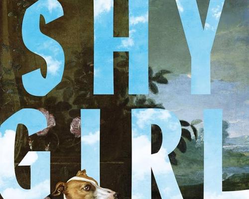 Hachette pulls horror novel Shy Girl after suspected AI use