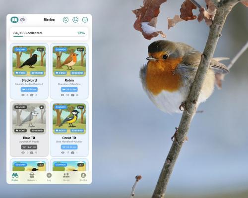 Gotta watch ‘em all? Pokémon-style app for birdwatching launches