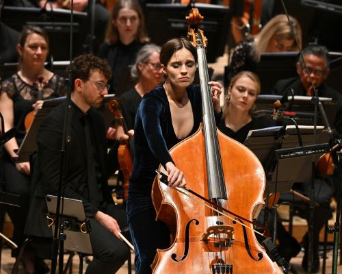 BBC Total Immersion: Icelandic Chill review – ambience, flowerpots and drones in varied day of new music