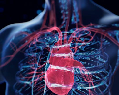 Scientists develop AI tool to spot heart failure risk five years before it strikes