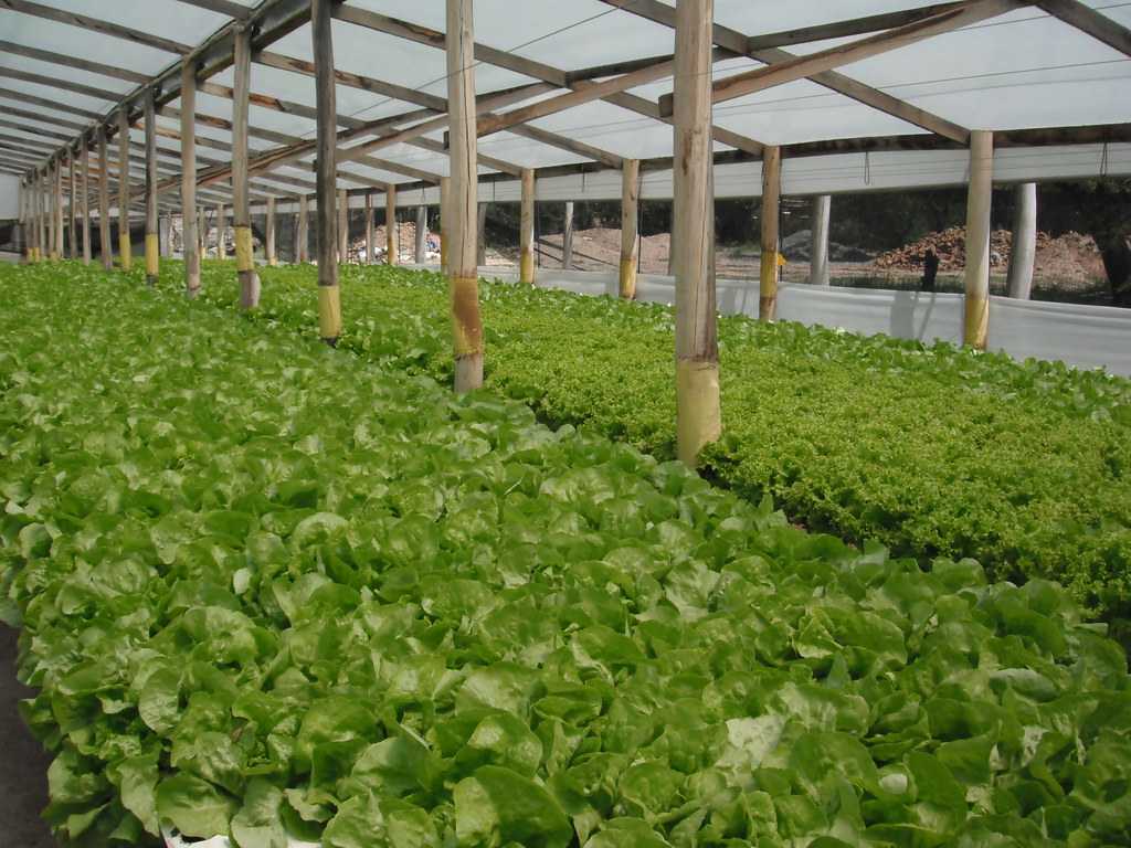 5W PR Grows B2B Practice With New Content Marketing and Lead Generation Solutions for Enterprise Clients - PR Newswire