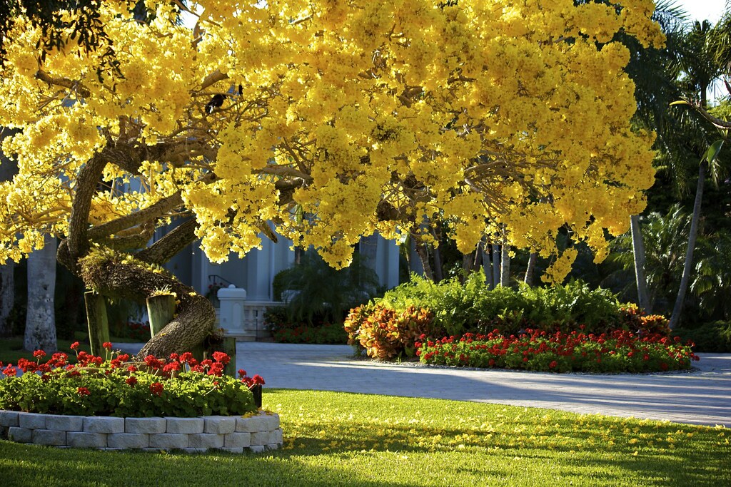 Bonsai Emphasizes Incrementality as Key Metric in Digital Marketing Measurement - TipRanks