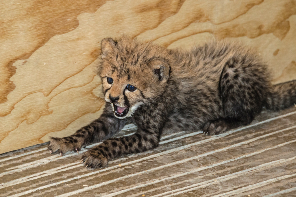 Boost Your Career: Digital Marketing Internships - thedetroitbureau.com