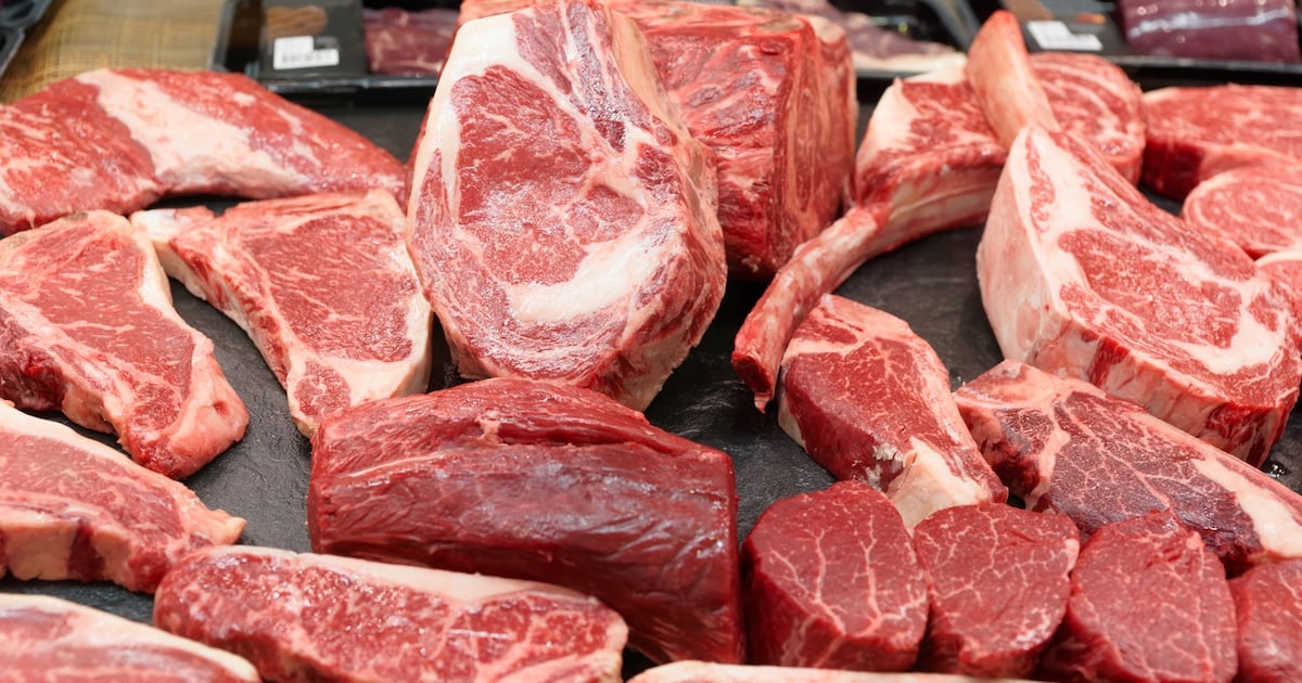 Influencers promoting carnivore diet spreading dangerous misinformation, doctor says