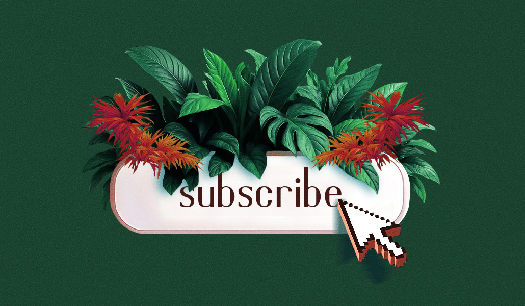 In Graphic Detail: Subscriptions are rising at big news publishers – even as traffic shrinks