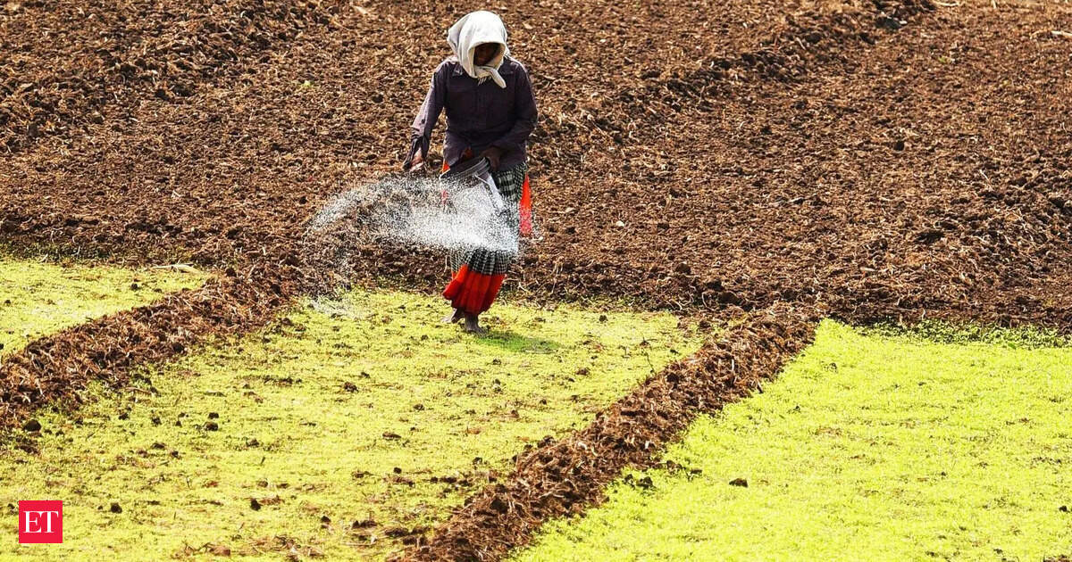 Centre plans digital trail for fertiliser subsidies via AgriStack