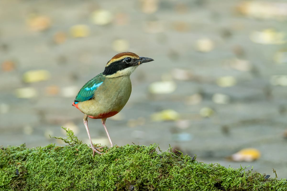 You Do Not, in Fact, Have to Hand It to Them