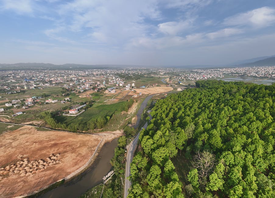 Nikita Kandhari expands role to lead content marketing for Prime Video Hindi slate - bestmediainfo.com