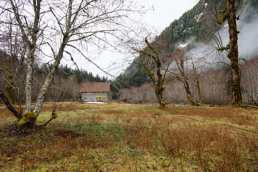 Historic season over, an uncertain future for Arizona men’s basketball still looks promising - Arizona Desert Swarm