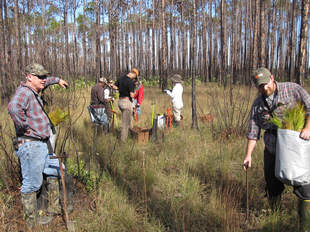 Utah Takes Down No. 18 Arizona State in Series Opener - University of Utah Athletics