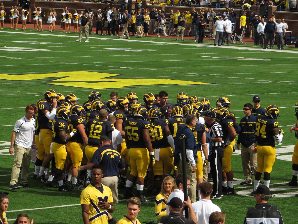 Wolverines Defeat No. 24 Arizona to Clinch Surprise College Baseball Series - University of Michigan Athletics