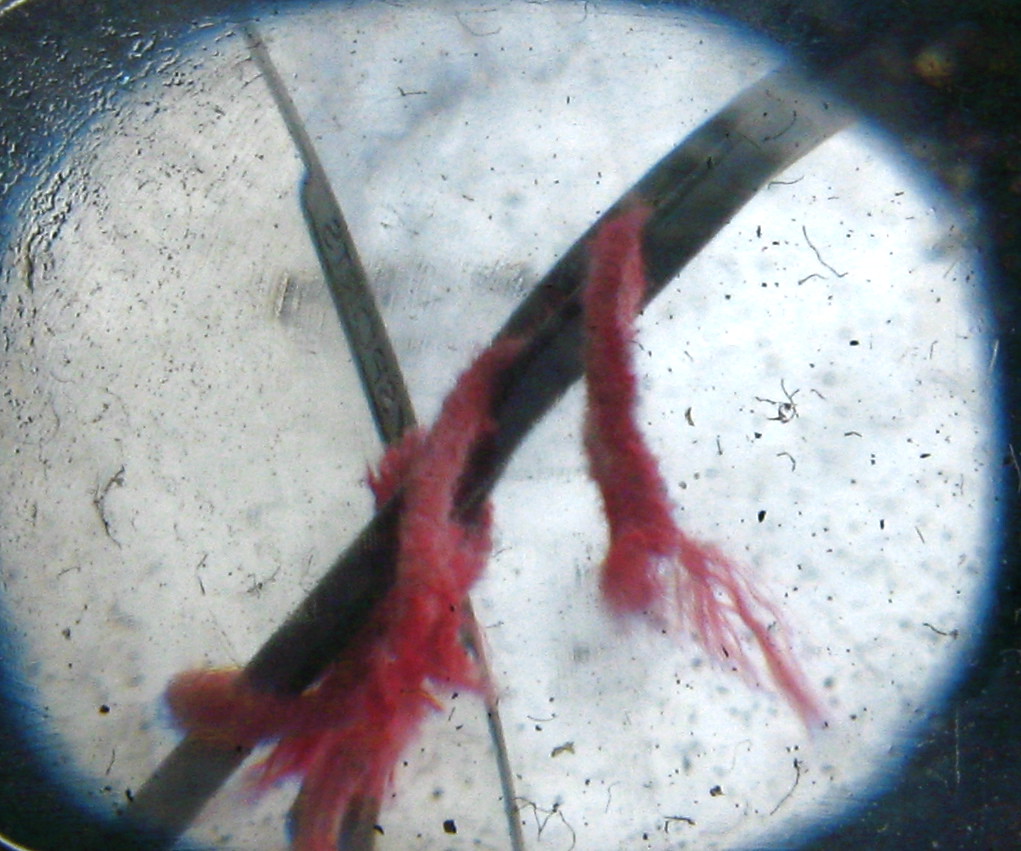 Arizona men’s basketball wins at No. 2 Houston to take over Big 12 lead - Arizona Desert Swarm