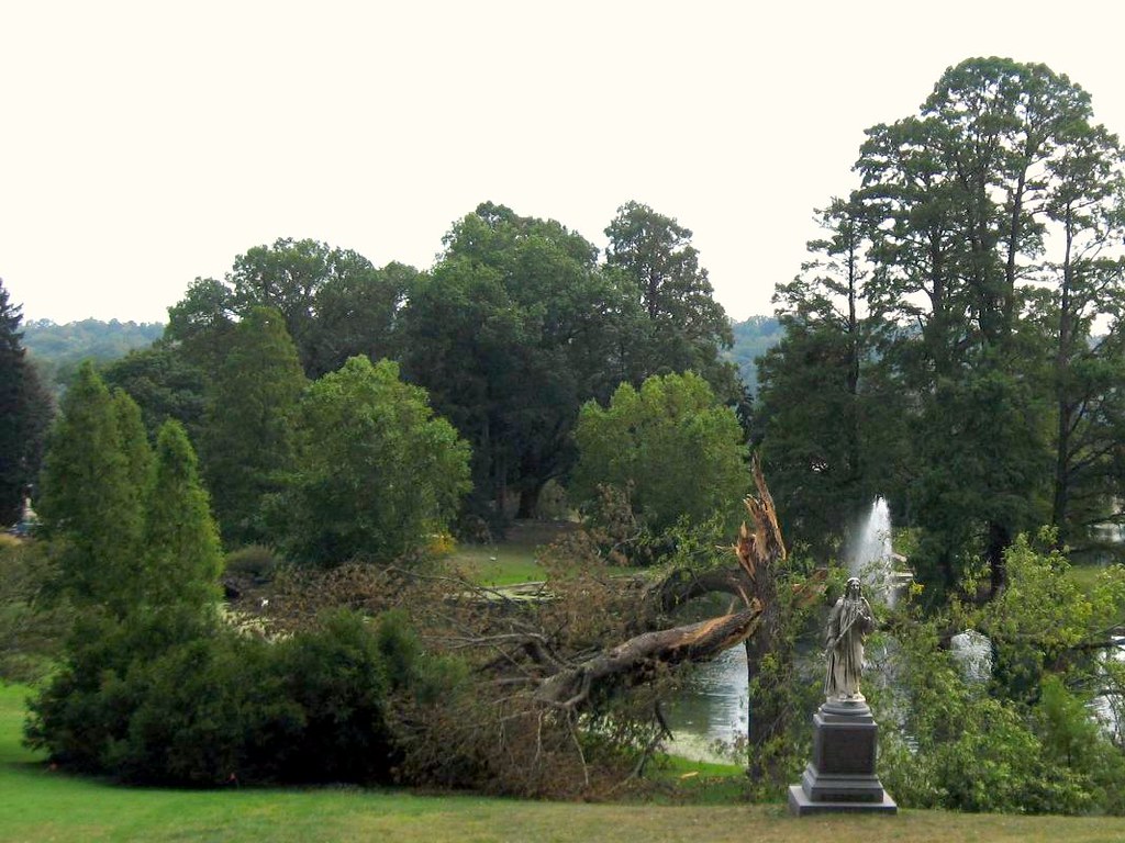 What we learned in Duke's win over Michigan, Arizona's over Houston - ESPN