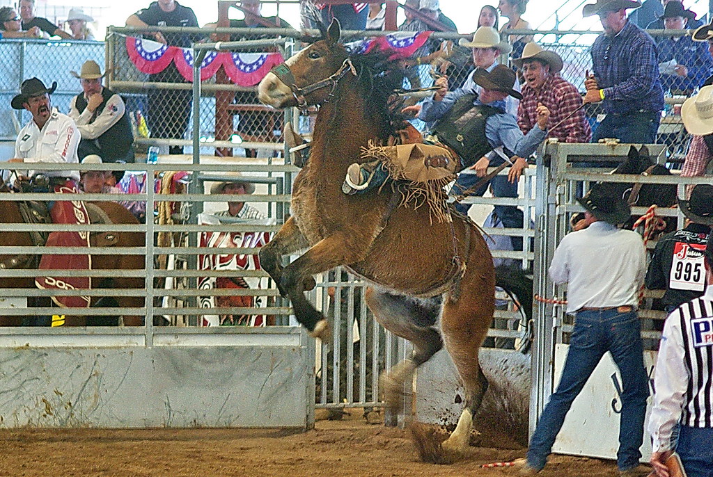 Phoenix Stumble In Loss To Wofford - Elon University Athletics