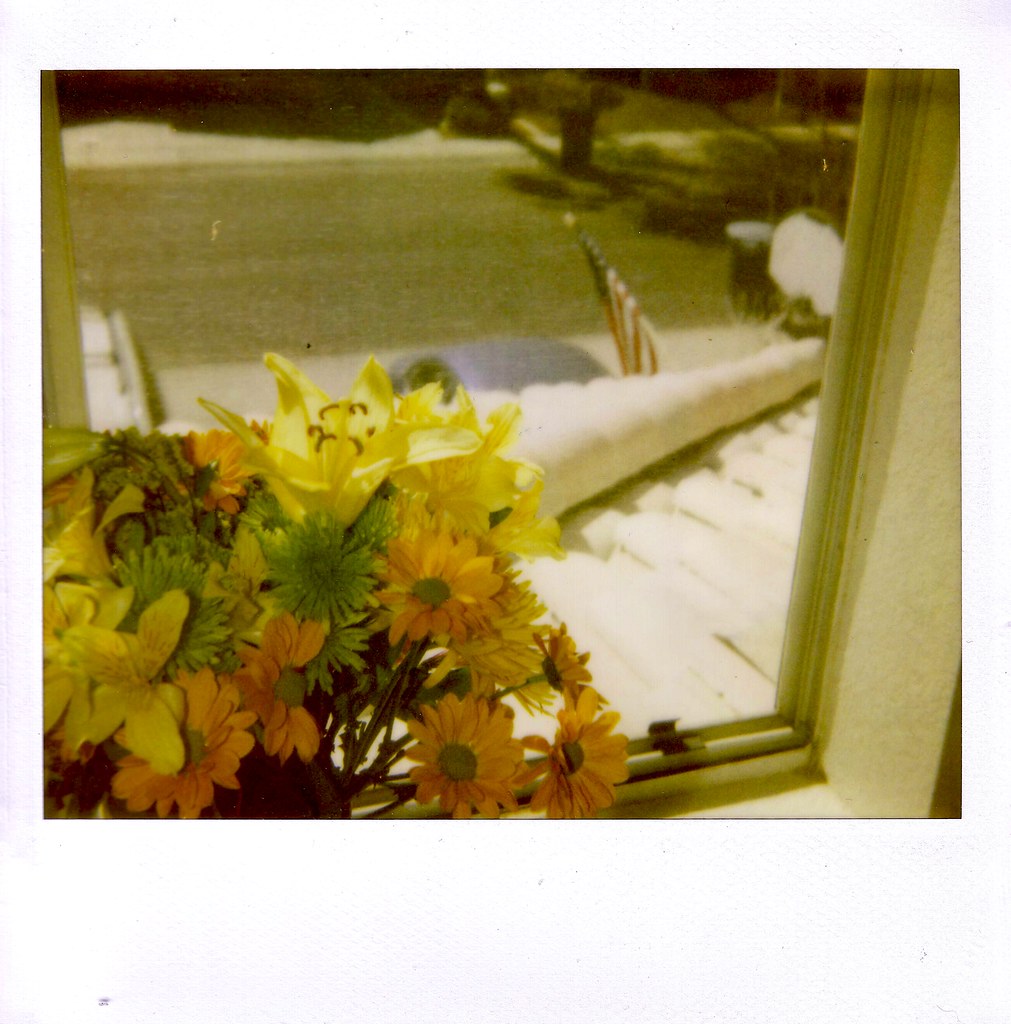 Arizona men’s basketball falls in AP poll following back-to-back losses - Arizona Desert Swarm