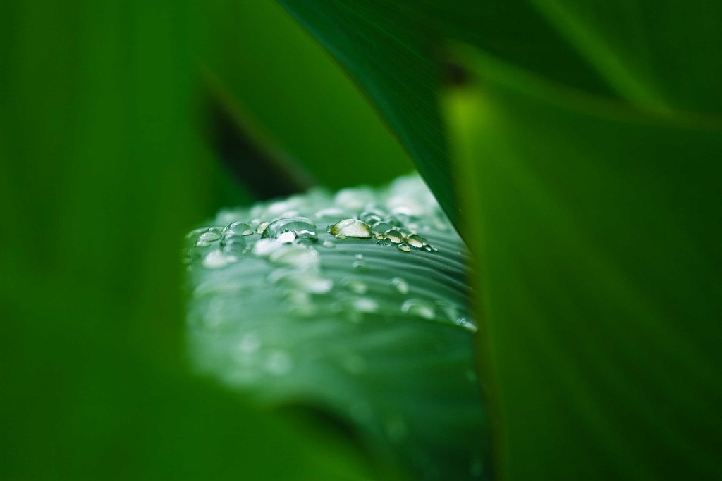 Arizona 82-80 Iowa State (Mar 13, 2026) Final Score - ESPN