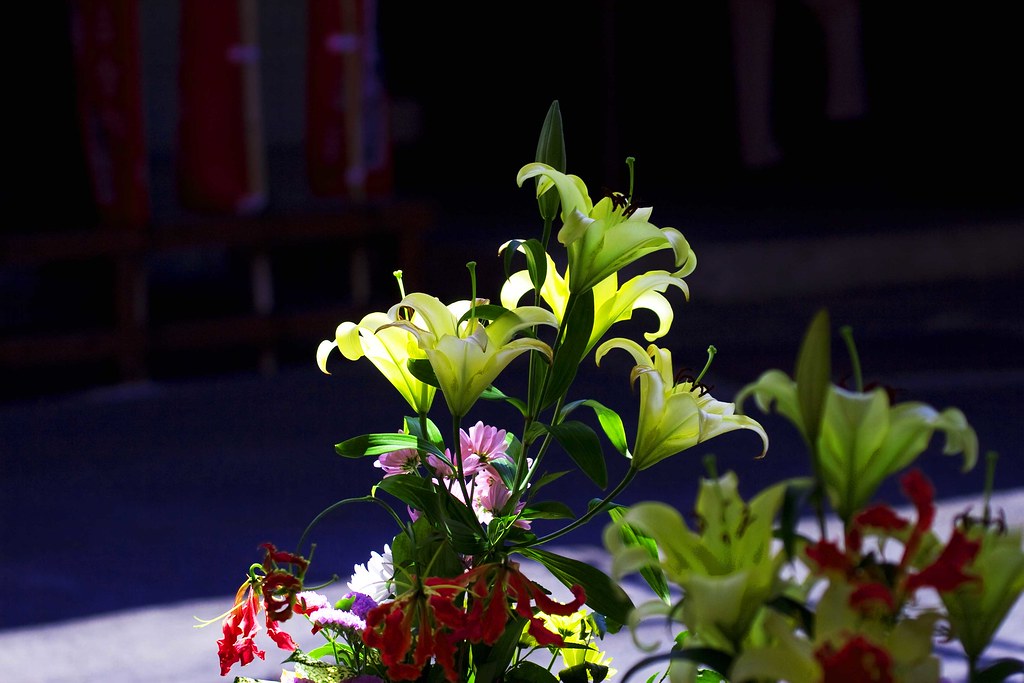 Arizona vs. Iowa State odds, prediction: 2026 Big 12 Tournament semifinal picks from proven model - CBS Sports