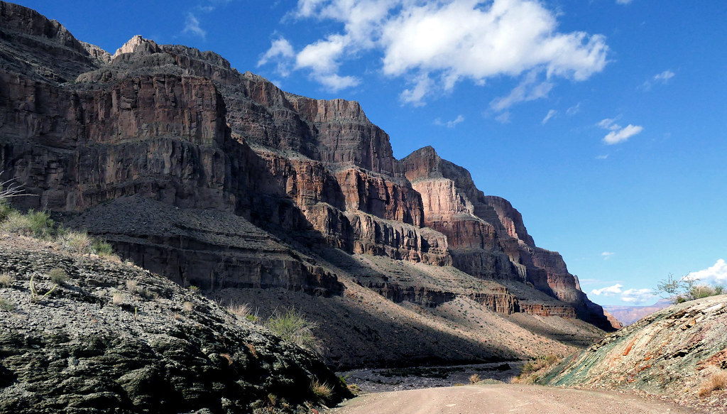 Arizona coach Tommy Lloyd addresses North Carolina coaching rumors - Arizona Desert Swarm