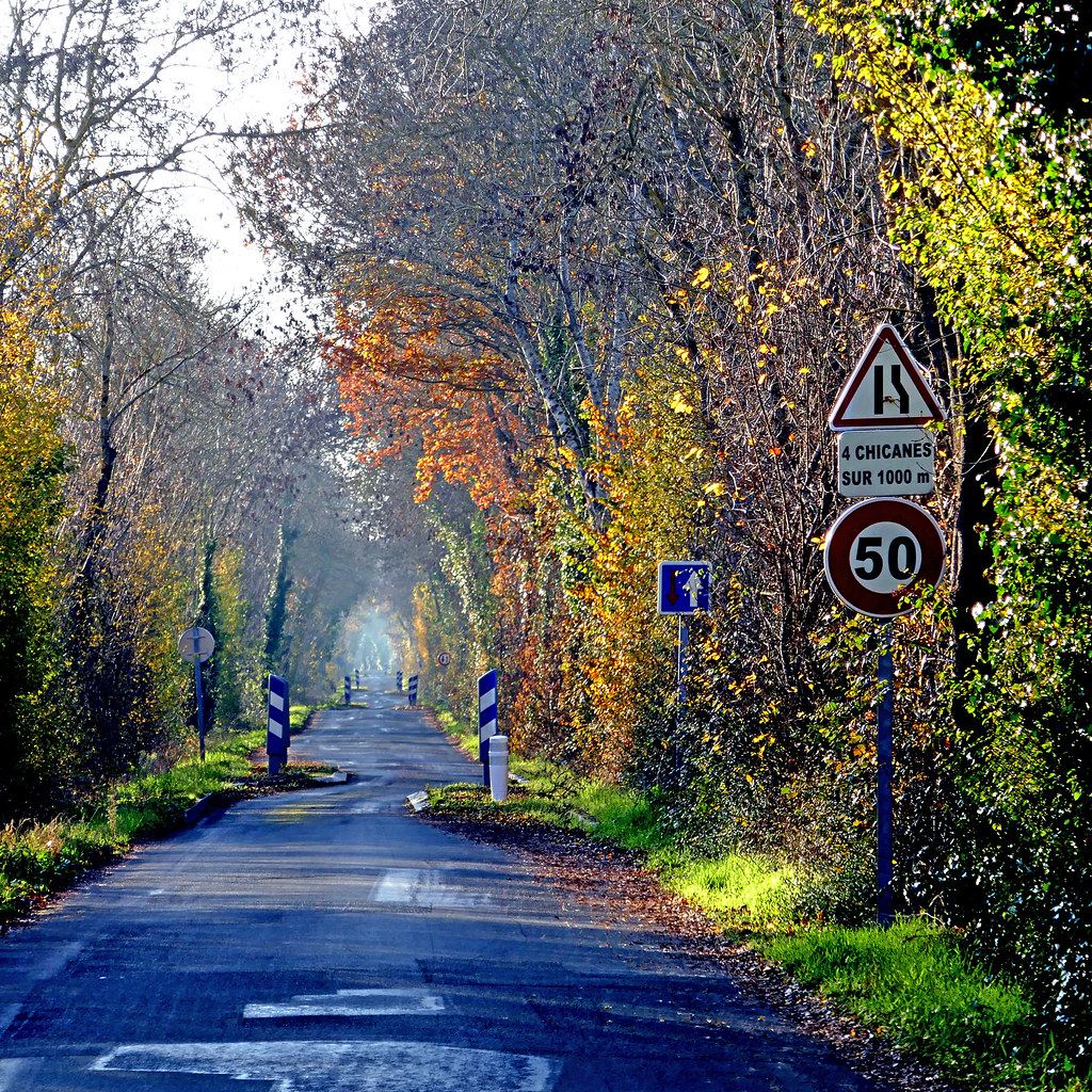 ISU Falls in Top 10 Bout at Arizona - Iowa State Athletics