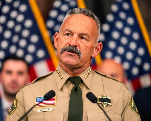 ‘A blatant political ploy’: California sheriff’s seizure of referendum ballots sets off alarm bells