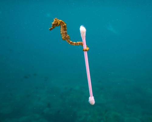 ‘They pushed so many lies about recycling’: the fight to stop big oil pumping billions more into plastics