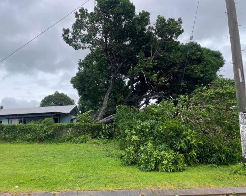 Tropical Cyclone Narelle barrels west after ripping off roofs and downing trees in far north Queensland