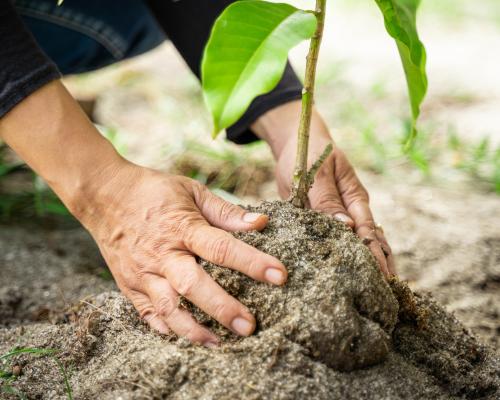 Readers reply: what would be the most socially useful way to spend a billion dollars?