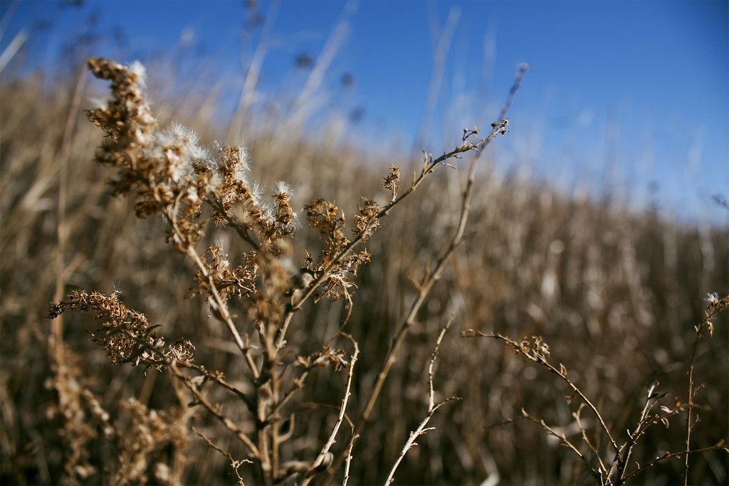 UH shifts focus to NCAA Tournament after falling to Arizona in Big 12 title game - Houston Chronicle
