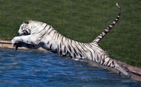 Nearly 1K Arizona children with autism to lose ABA therapy coverage - AZ Family