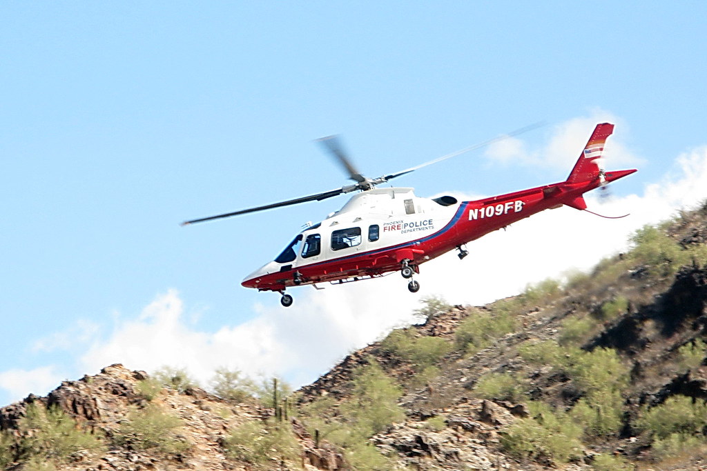 Phoenix Downs Tarleton State In Weekend Finale - Elon University Athletics