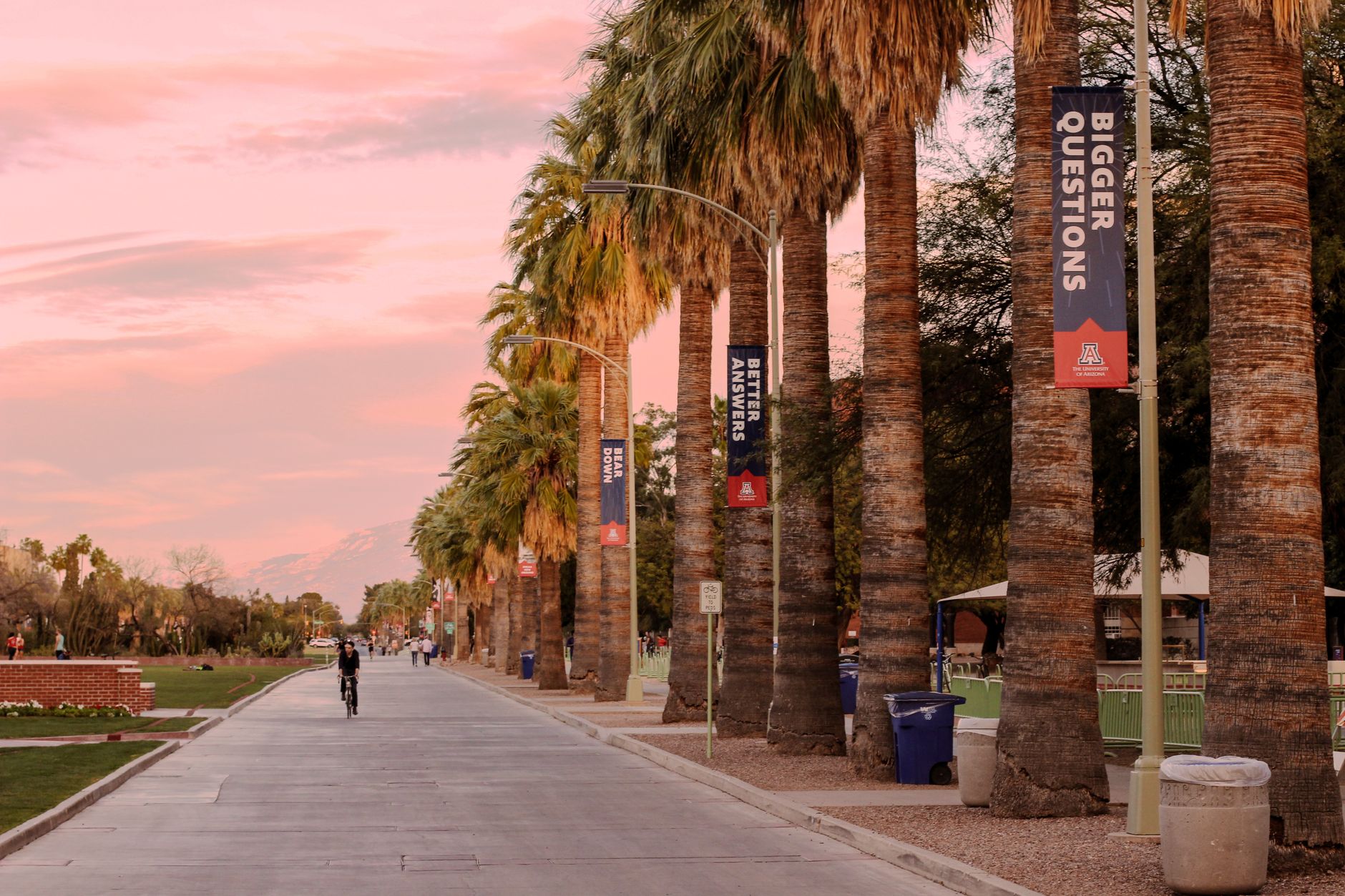 Arizona PBS' Ted Simons announces retirement - ASU News