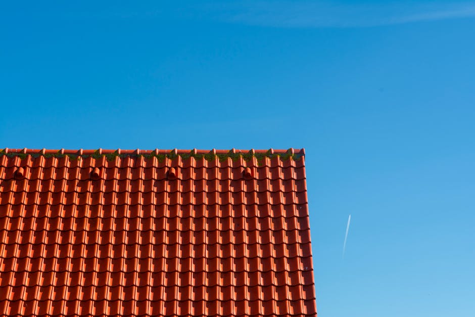 Barkley blimp cruises over Phoenix again - Axios