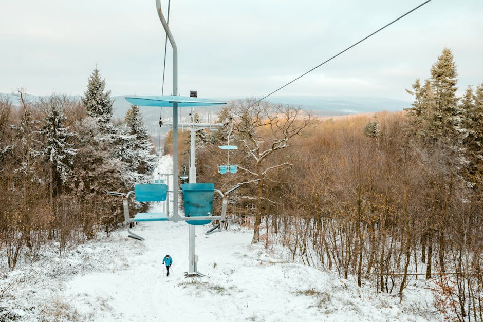 Baulsir’s Walk-Off Lifts Phoenix To 4-3 Win Over Dartmouth - Elon University Athletics