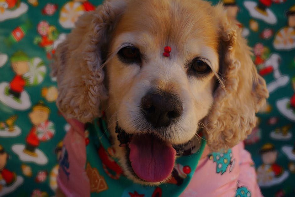 Hobbs vetoes Charlie Kirk license plate bill - Arizona Mirror